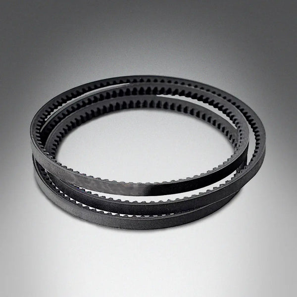 Keilriemen für Mulcher EG-EH-EHM-DPM-DS-DF model  17x1016