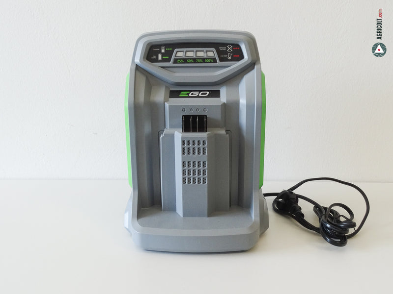 Schnell-Ladegerät CH 5500E