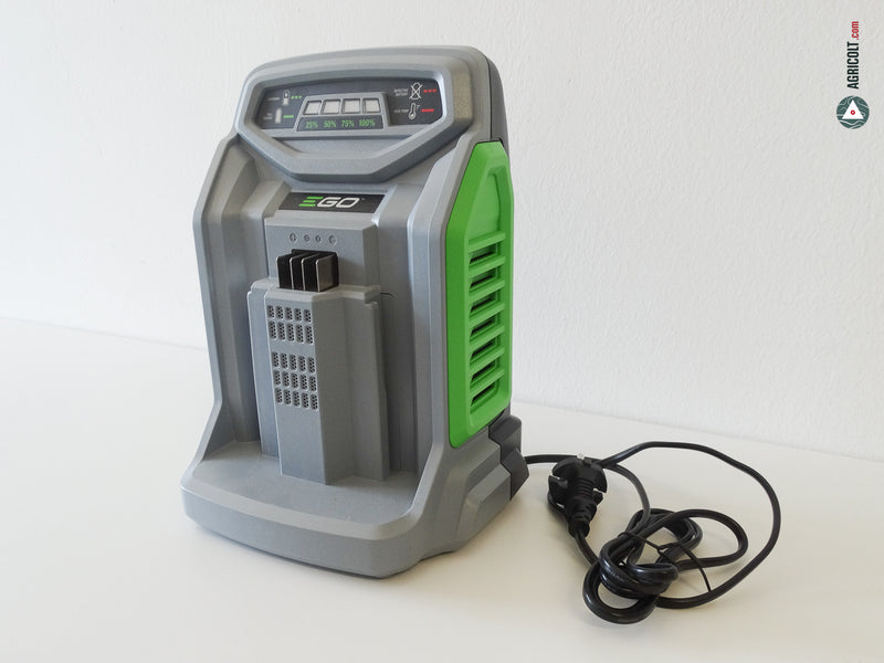 Schnell-Ladegerät CH 5500E