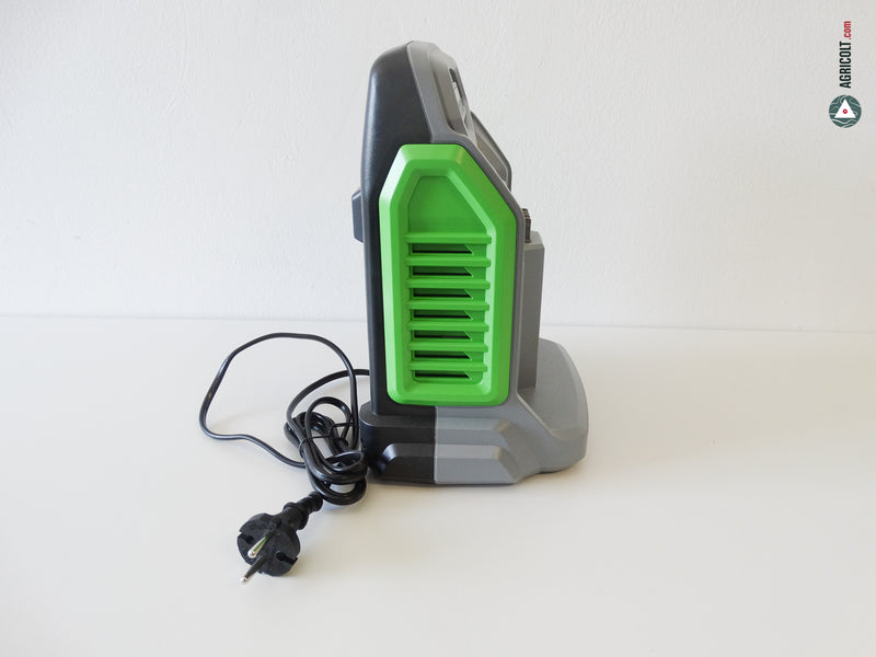 Schnell-Ladegerät CH 5500E